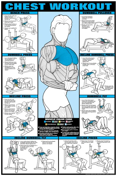 Algra Co-Ed Series Chest Workout Chart