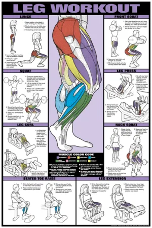 Algra Co-Ed Series Leg Workout Chart